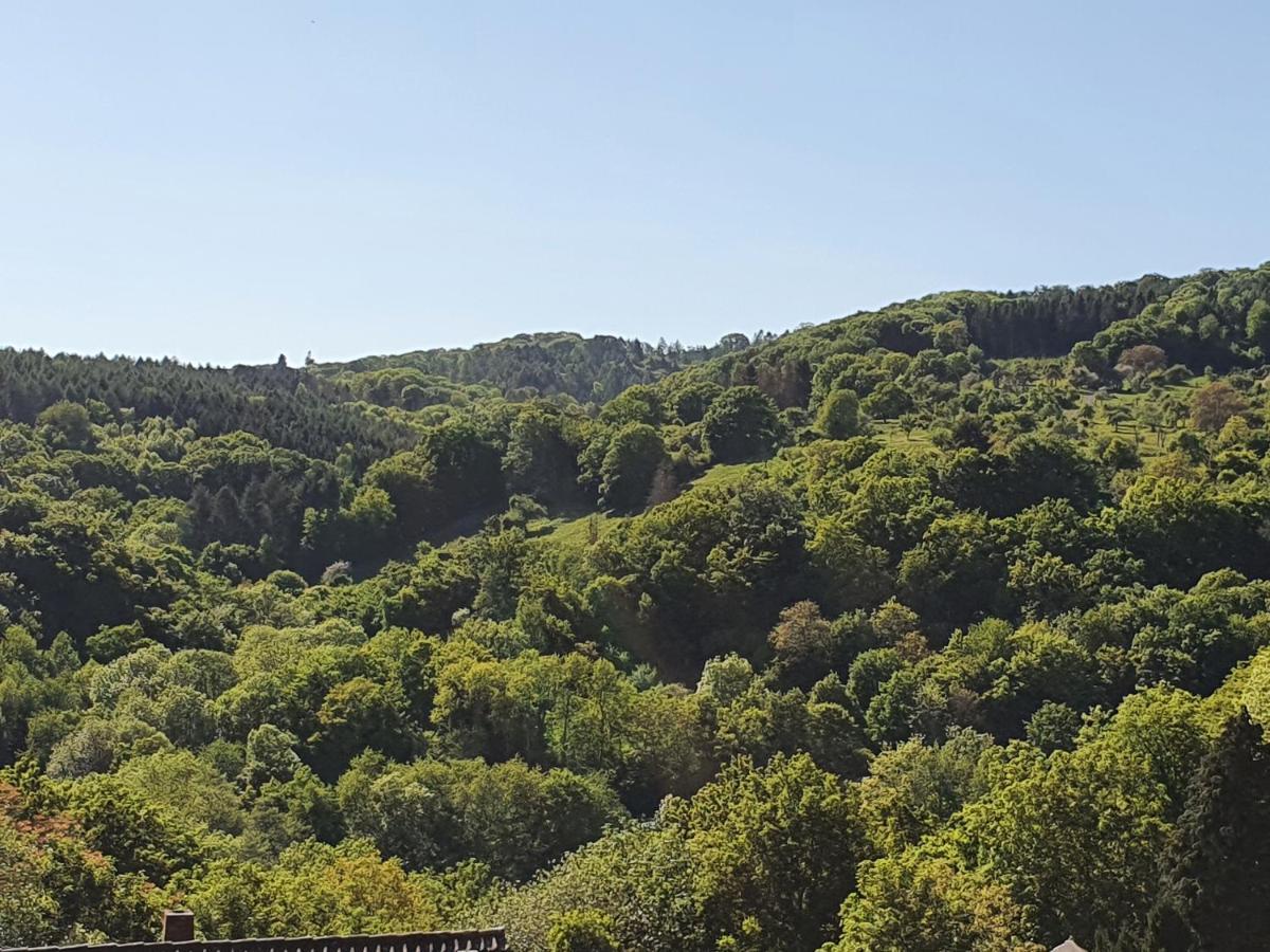 Die Gruene Oase Am Rheinsteig 2 Zkbuwc Neuwied Exteriör bild